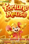 Fortune Mousse en TNXCOCO COM